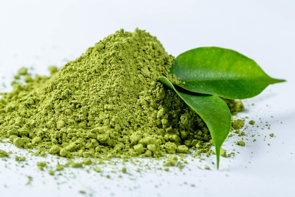 Green Tea Extract